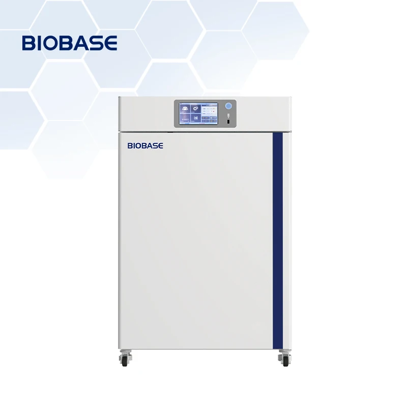 BIOBASE Factory Direct Constant-Temperature Incubator Touch Screen machine laboratory Medical Incubator
