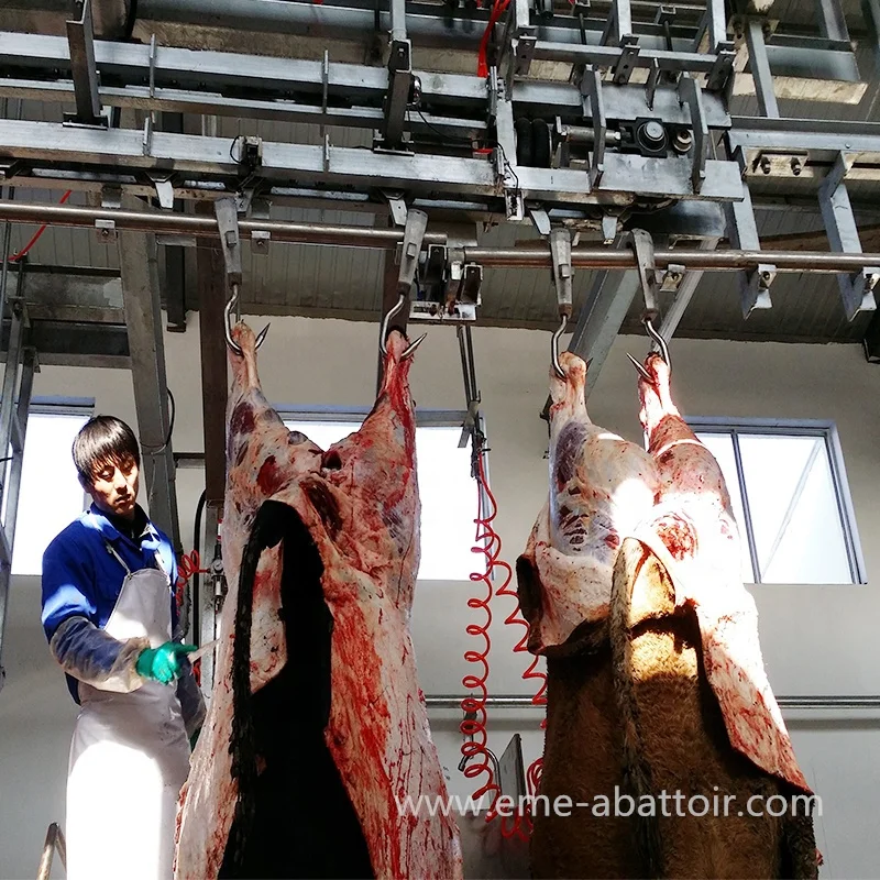 Full Automatic Halal Cow Slaughterhouse Equipment Bovine Weight Scale Cattle Abattoir for Beef Processing Line
