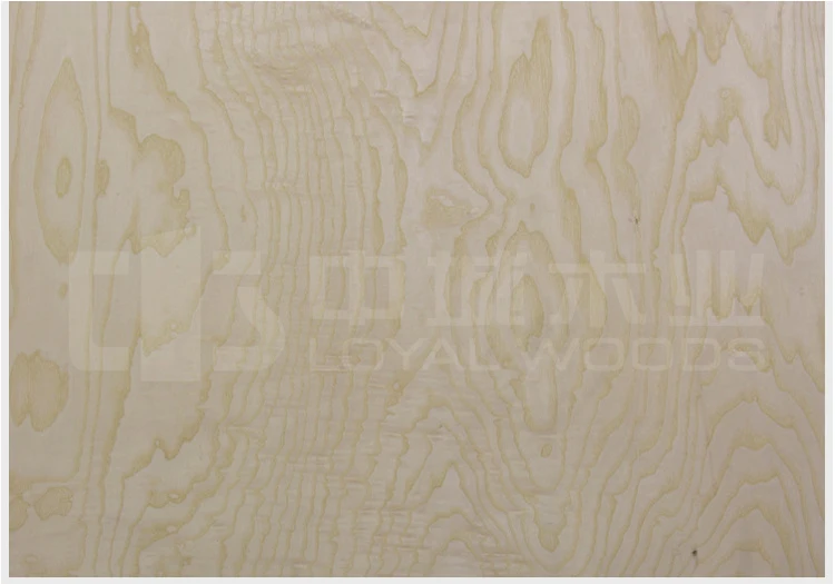 Natural White Ash Burl Veneer Wood Veneer for Interior Decoration House Furniture plywood