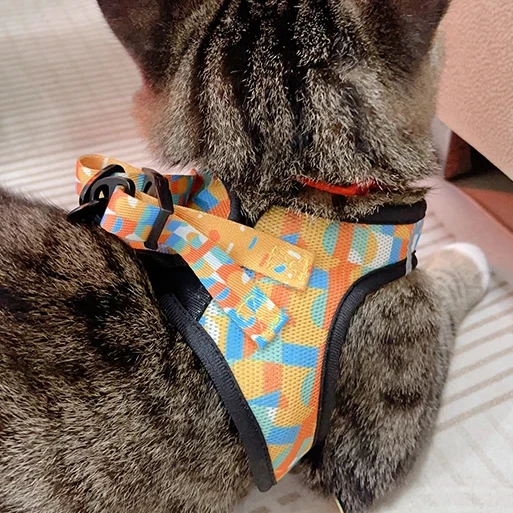 Oem Adjustable Breathable Harness Cat Cat Pet Harness Products Cat Harness And Leash