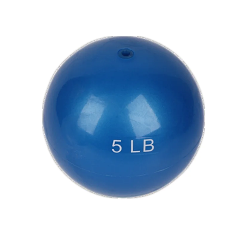 Sand or Water Filled Hand Weighted Ball 1lb  2lb  4lb 6lb 8lb