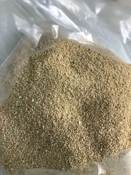 Premium Grade White Poppy Seeds