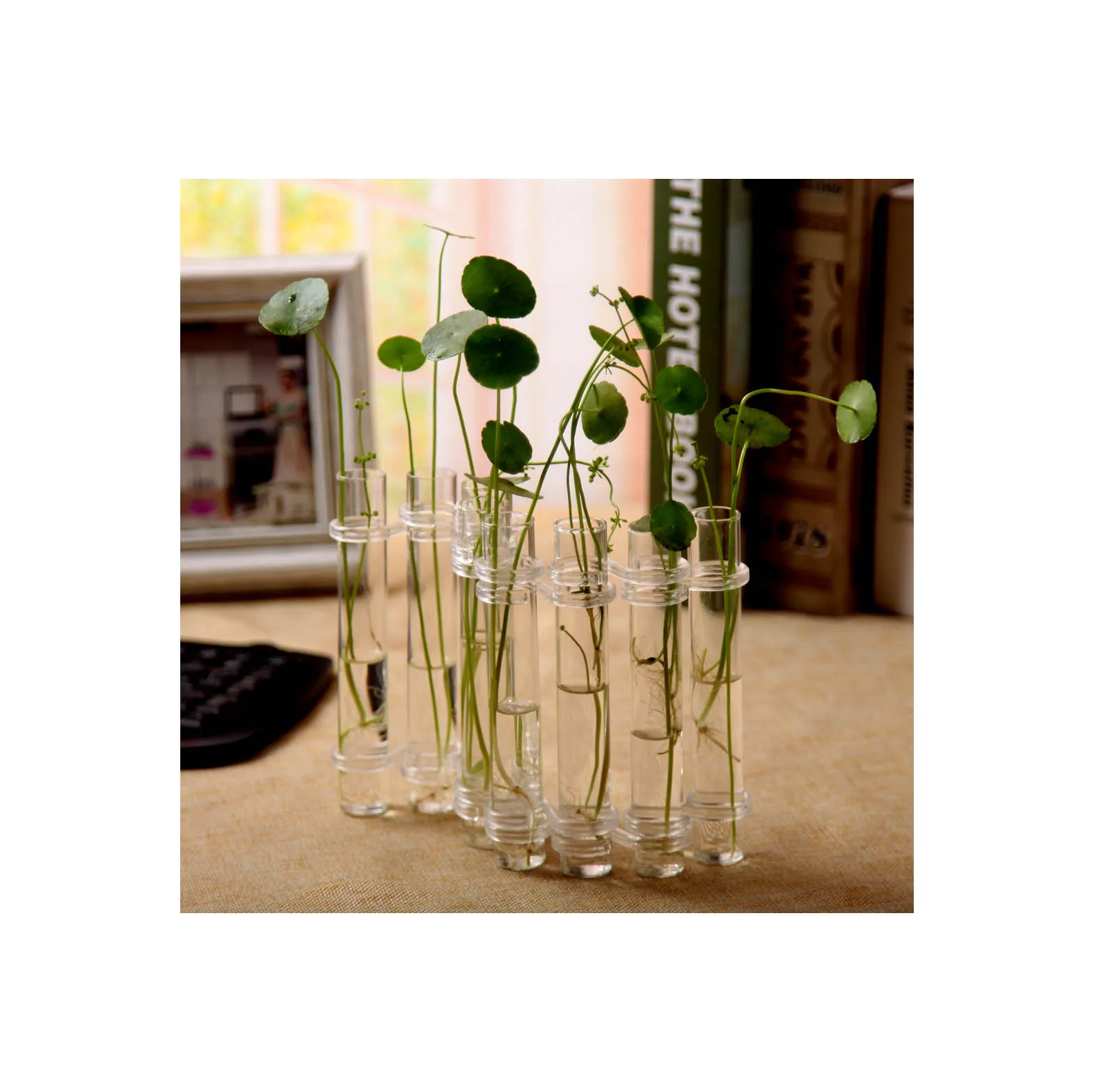 2022 hot selling good price for flowers et flower glass vase