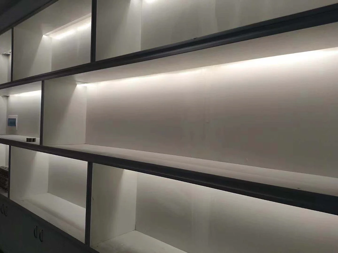 New style wall mount led silicone neon flex double sided for  neon painting tube furniture light