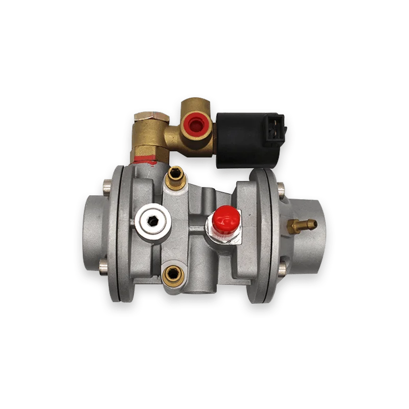 Factory Direct Sales high quality products Pressure Regulator GNC GNV CNG Gas Engine Reducer