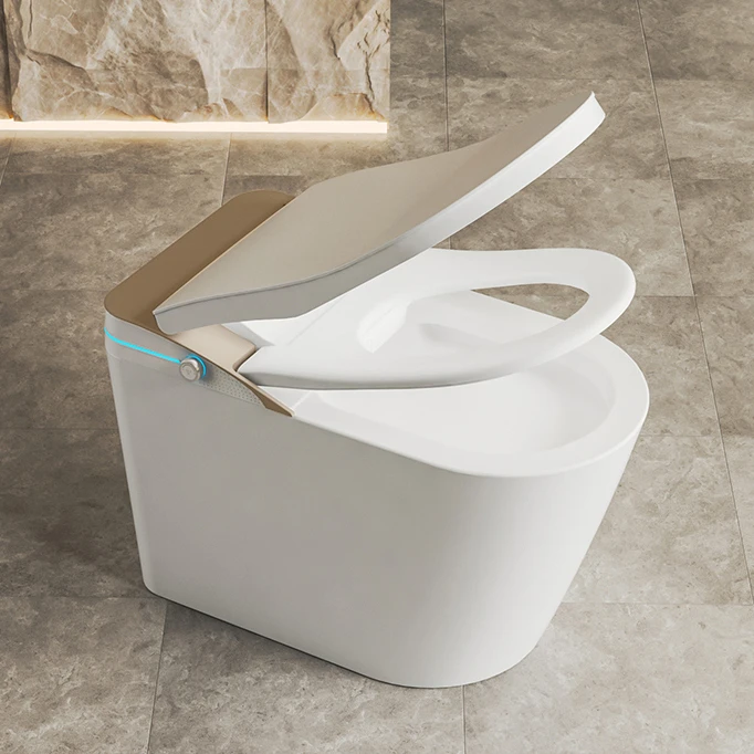 Electric Bidet Heated Smart Toilet With Sunken Water Tanka