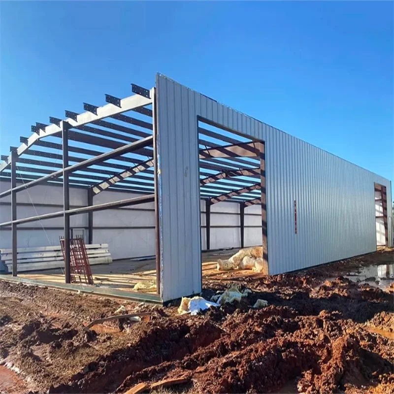 Prefab Free Drawing Steel Structure Shed Warehouse Factory Building Storage Shed Price