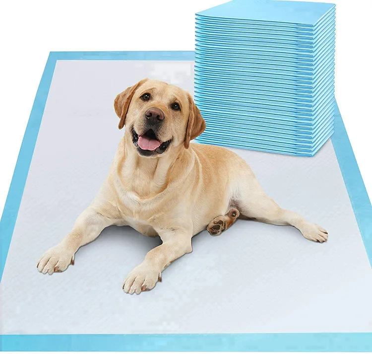 2021 Hot Selling disposable Super Strong Waterproof High Absorbent Material Pet Training And Puppy Pads