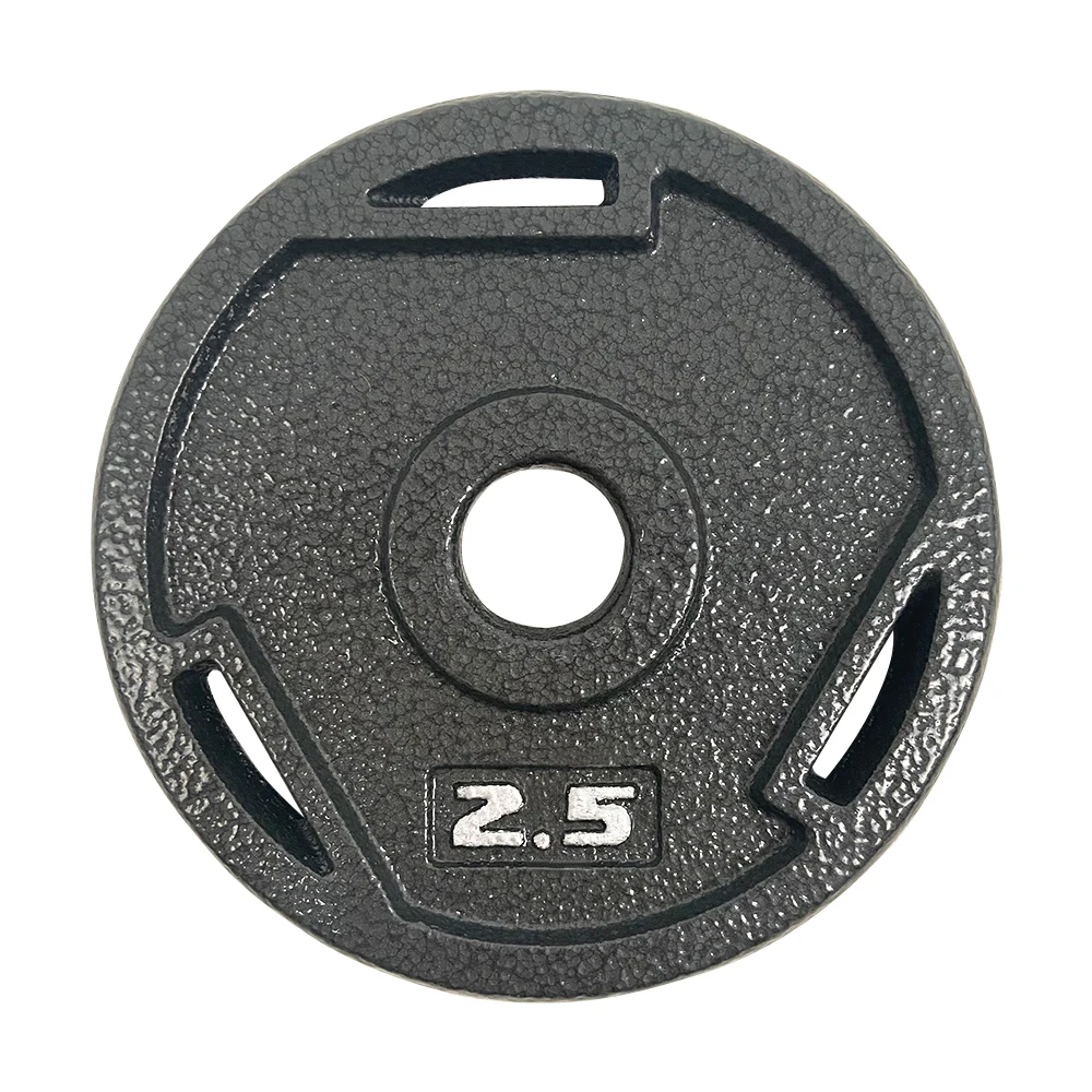 Hot Sale Strength Training Weightlifting Standard 1-Inch Cast Iron Plate Weight Plate