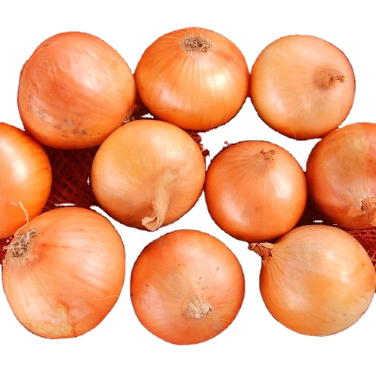 Fresh new onion on promotion