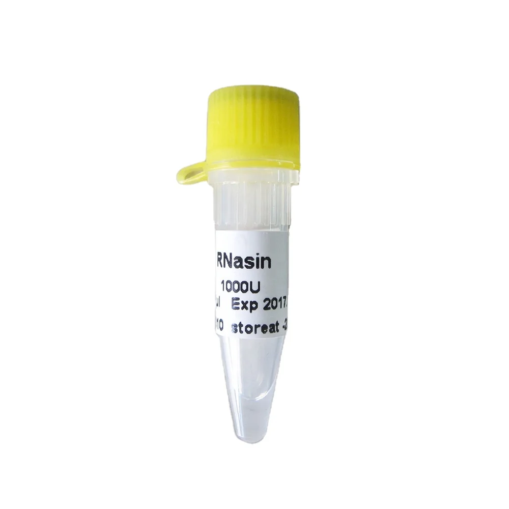 RNase Inhibitor, murine source reverse transcript FOR inhibiting RNases in reverse transcription RT-qPCR, R4001 20000U