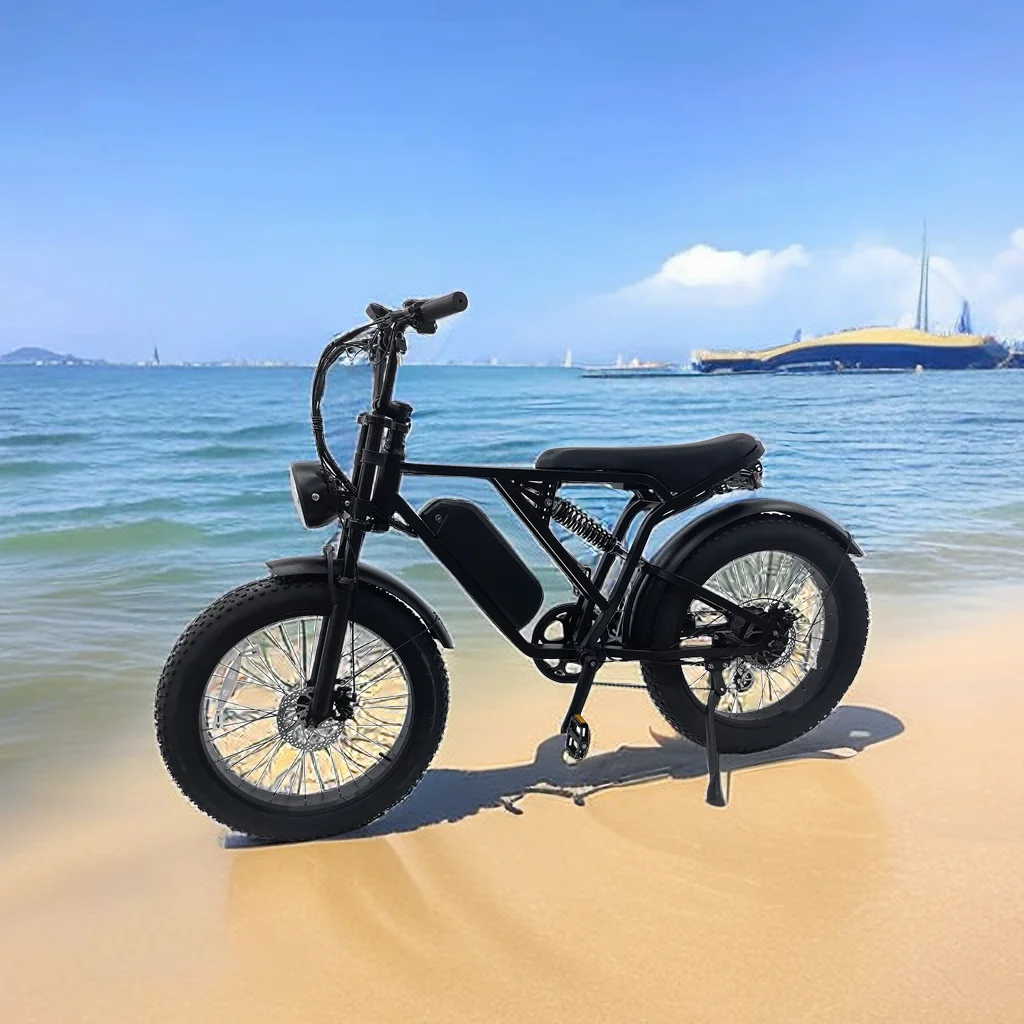 Eheet in Nederland Stock Fatbike Ebike 20 дюймов 24 дюйма 250 Вт 500 вездеходный Электрический велосипед стальной Germany EU для взрослых E Bike