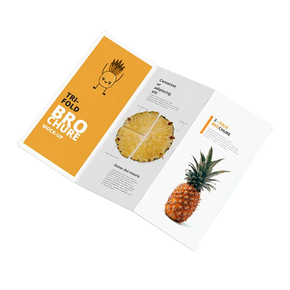Custom Premium Coated Paper Logo Printing Folding Flyer Catalogue Pamphlet Brochure Booklet Instruction Manual Leaflet Printing