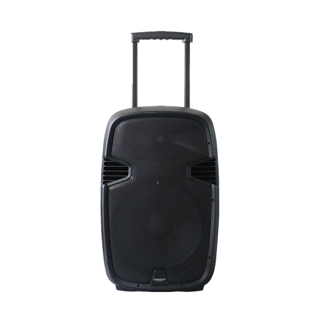 12 дюймовый профессиональный для декорирования сцен на открытом воздухе пластик pa динамик с аккумуляторная батарея