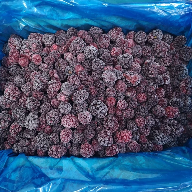 Новый сезон 2022, Blackberry IQF, оптовая продажа, Замороженные Ягоды, первоклассная пищевая служба Blackberry