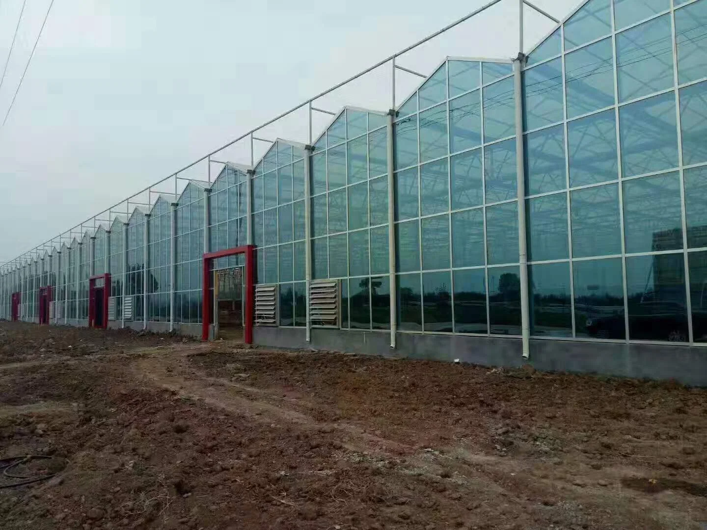 white power coated steel frame seedling polycarbonate covering aquaponics green house