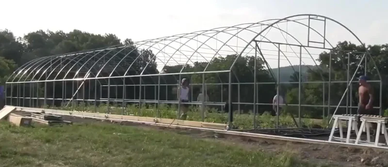 China Factory Outlet Single-span Greenhouses Customized One-Stop  Polytunnel Farming High Tunnel Agriculture Greenhouse