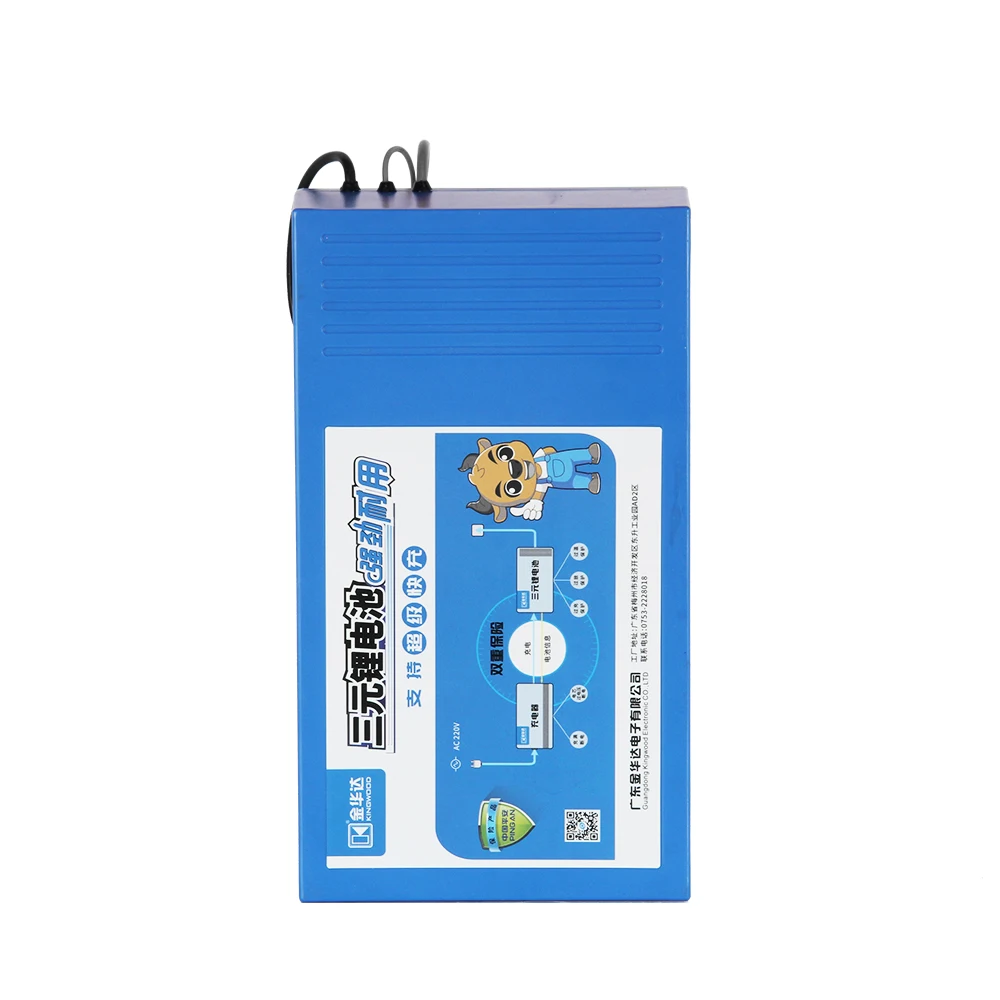 
Customized 48 Volt 36v 11.6ah Electric Bike Lithium Battery Pack 