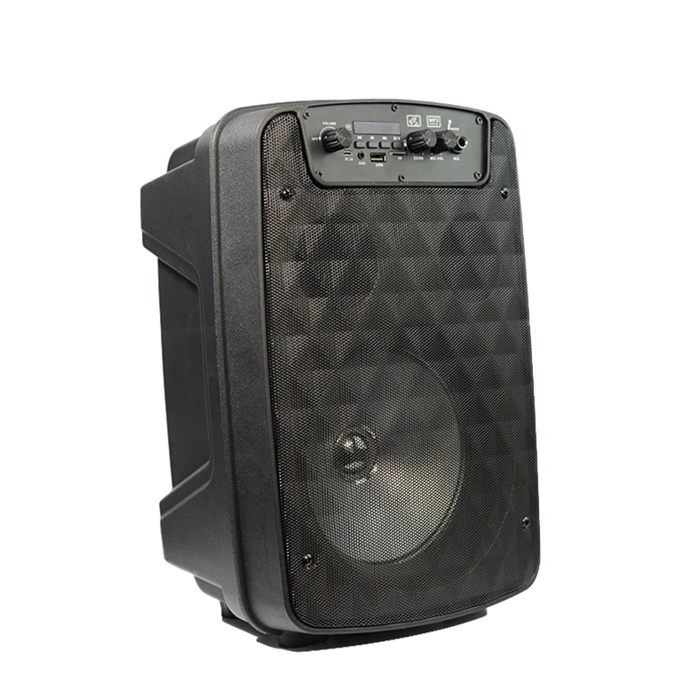 Hot Sale Fm Radio Portable Subwoofer Pull Rod Speaker Outdoor Karaoke Trolley Speakers