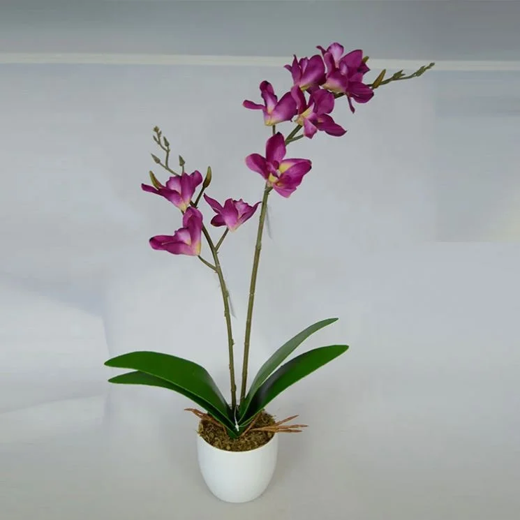 Wholesale garden decoration artificial plastic phalaenopsis orchid plants flowers Bonsai