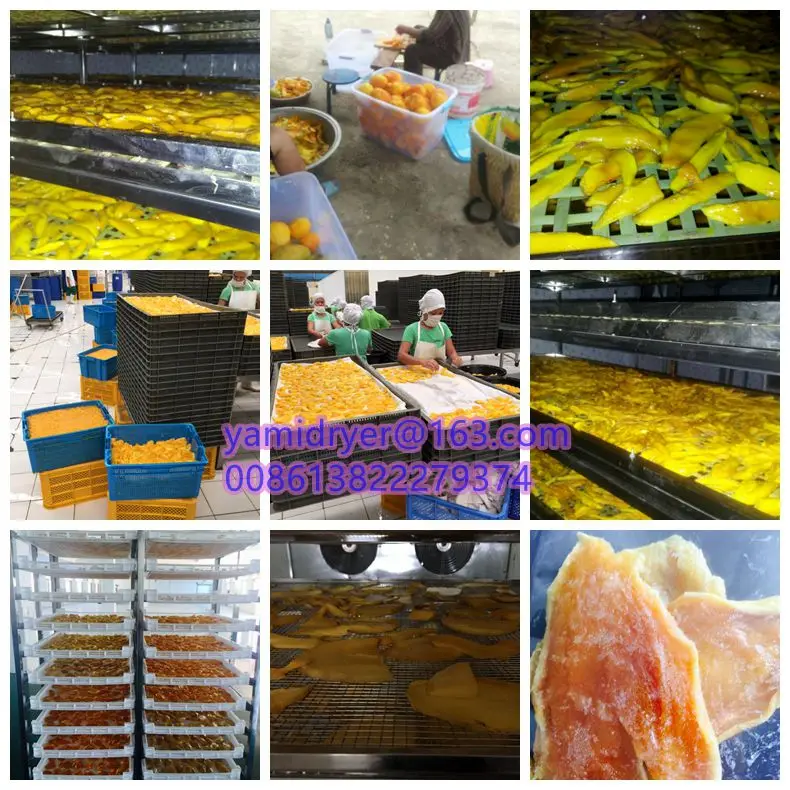 Industrial used cabinet dryer fruit processing drying machine mango drying chamber dates dehydrator oven