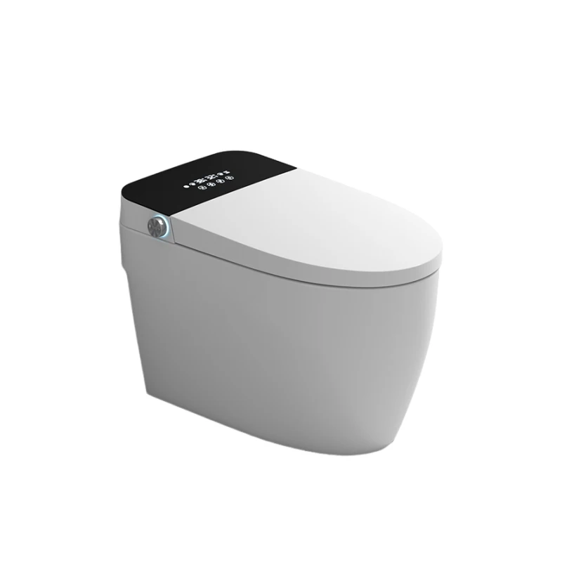 hot sale electric bidet smart intelligent bathroom 110v &220v integrated cistern toilet