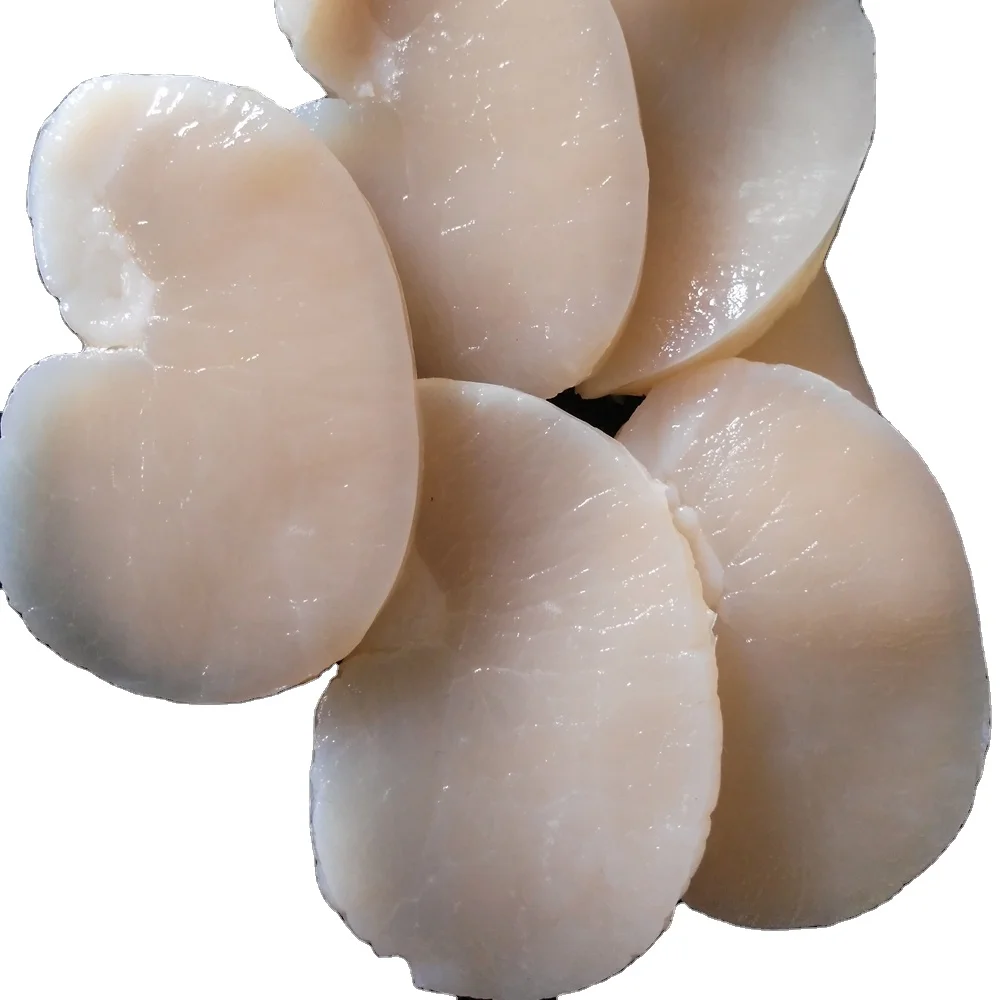 Frozen sea scallop in good quality no chemical treated