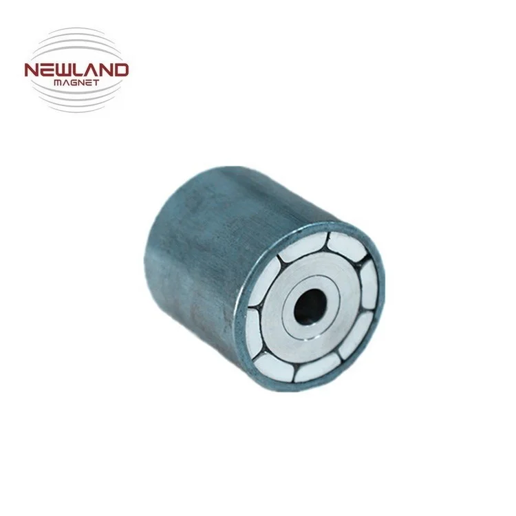 Customized Magnetic Rotor High Quality Magnet Assembly with Shaft, Aluminum Ring, Steel ring for Motors, Generators