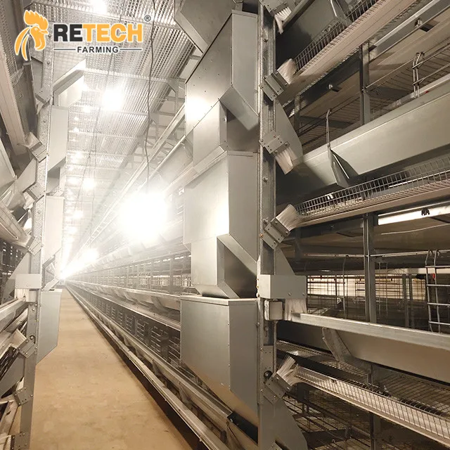 Design Chicken House H Type Layer Cages Battery Cage System Egg Hen Layer Breed Poultry Farm Equipment