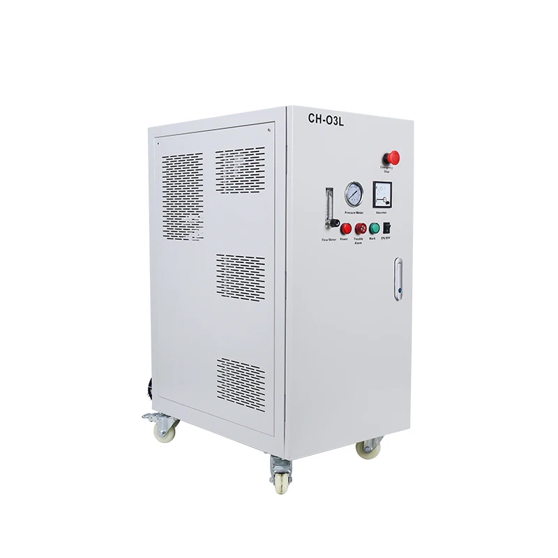 Chuanghuan 10L oxygen generator with oil-free air compressor complete oxygen concentrator for ozone machine