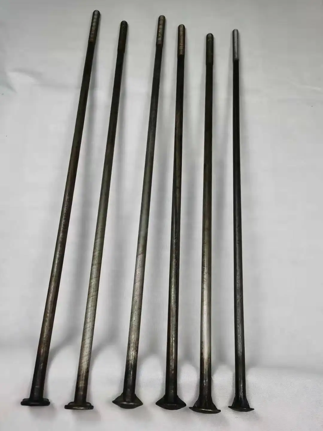 Plain/ HDG ASTM A307 Round Head 2/4 Fins or Nibs NeckTimber Bolts