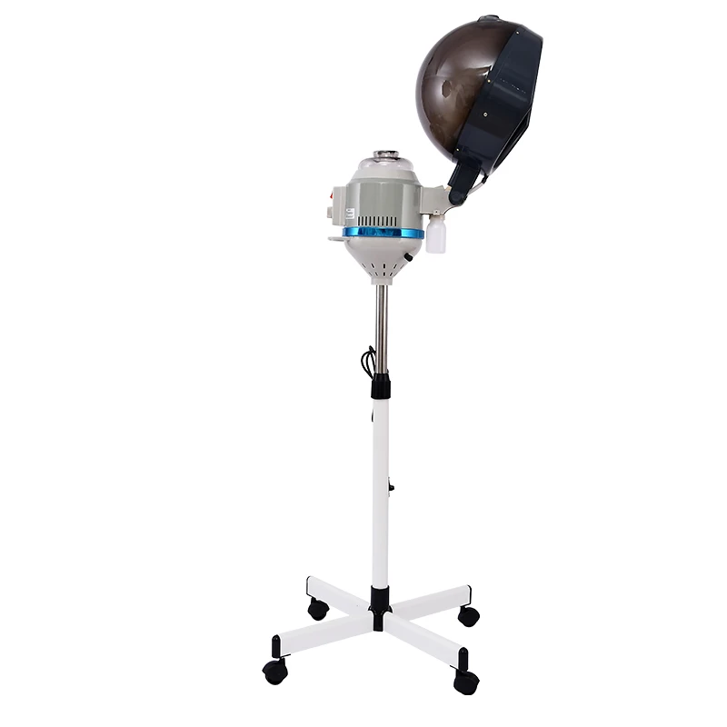 Best Selling Professional Salon Spa Hair Accessories Machine Ozone Micro Mist Hair Steamer