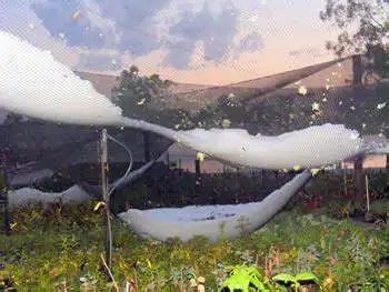 Stabilized anti hail bird net plastic protect netting frost hail round mesh net fruit net protection