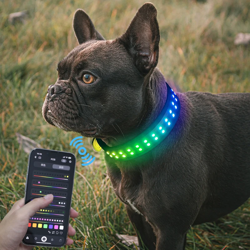 bluetooth APP control rechargeable prevent loss warning colorful flashing LED light pet collar supplies for night walking dog