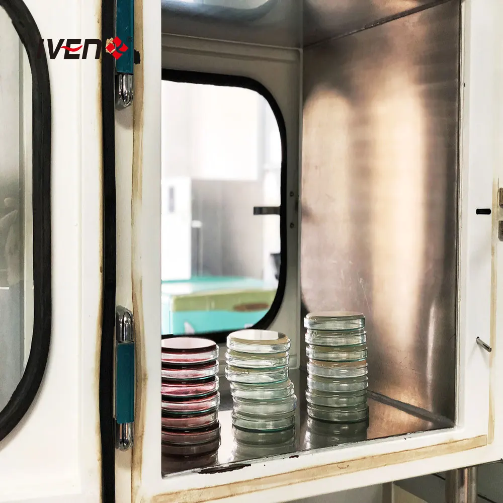 Pass Small Items Between Clean Area and Non-clean Area Cleanroom Clean Room Pass Box for Pharmaceutical