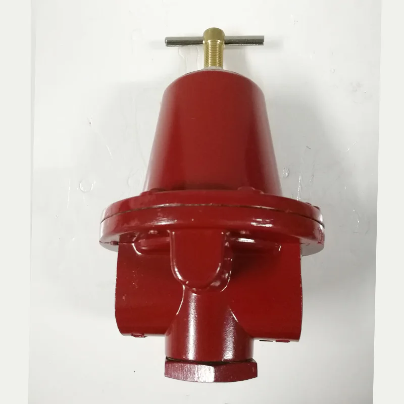 Boiler Valve Rego Gas Pressure Reducing Regulator Regulating Valves 1584 1/2' 16 Bar For Industrial