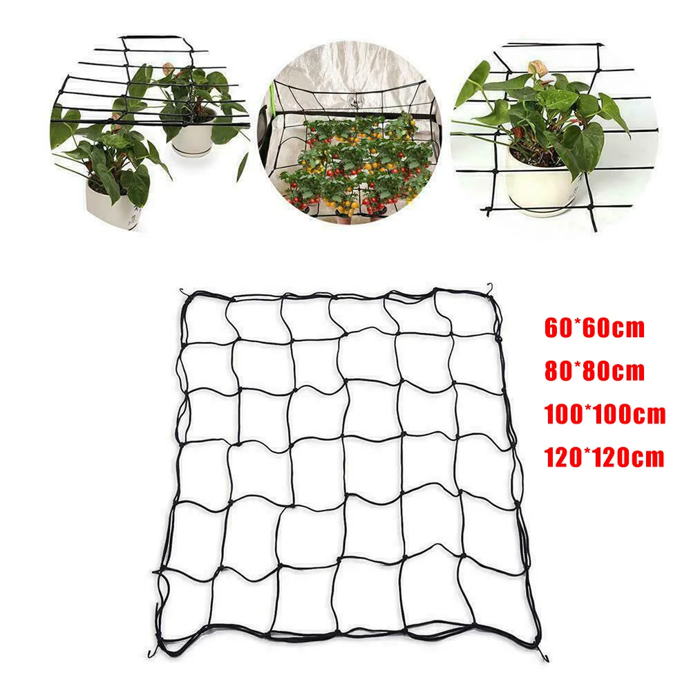 IGH-BR015-1-Plant Net