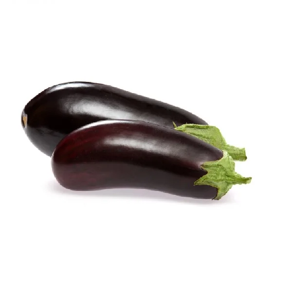 Vigorous growth hybrid eggplant seeds for growing