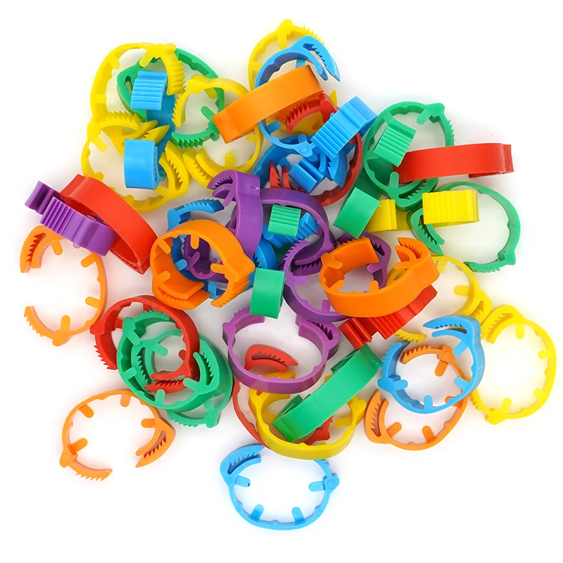 Новинка стильные кольца на щиколотке с застежкой без слов куриная утка краем опознавательный знак для ног птицы