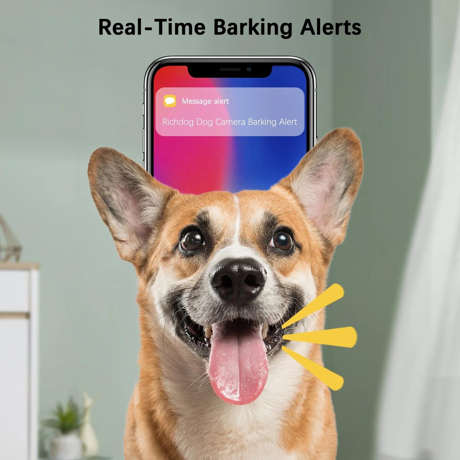 New Arrival Security Monitor Dog Camer Automatic Dog Feeder with Camera Treat Tossing Dog Camera