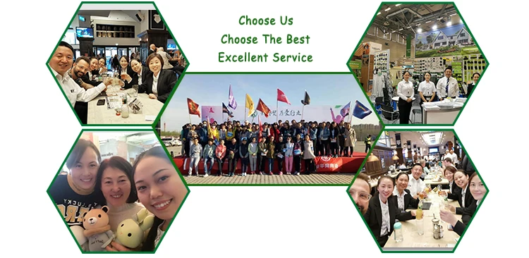 04Choose us