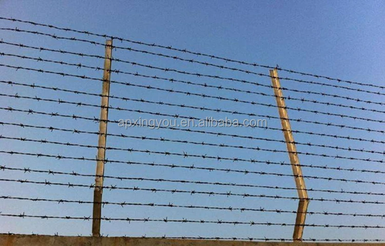 2021 Anping двухжильная оцинкованная колючая проволока, дешевая колючая проволока, цепь из колючей проволоки