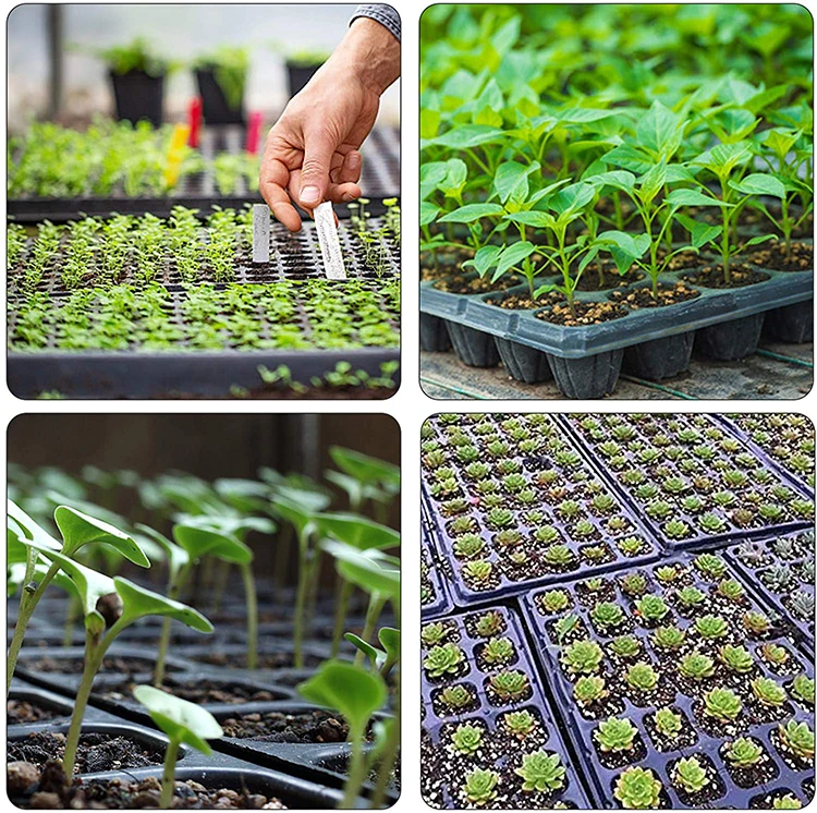 50 72 128 Cells Plastic Garden Plant Hydroponic Propagation Nursery Seedling Tray