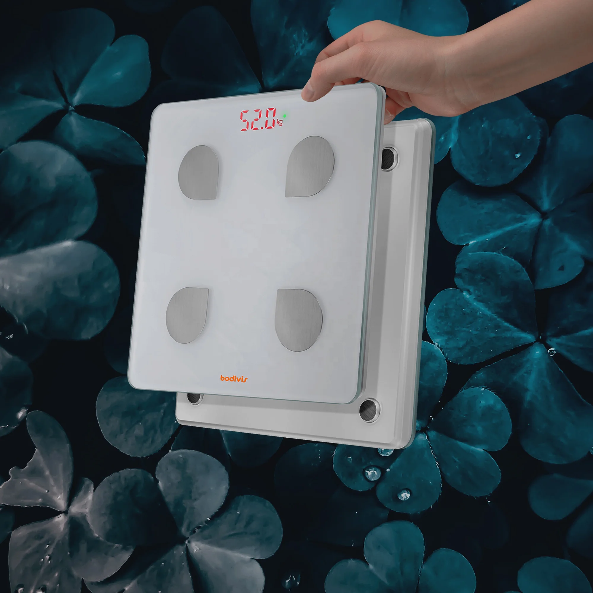 bodivis body fat bluetooth weighing scale with 16 parameters