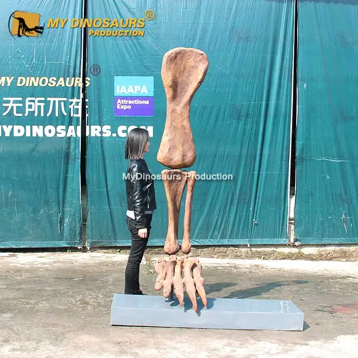 Z My Dino DS-043 торговый центр украшения скелет динозавра стеклопластиковый