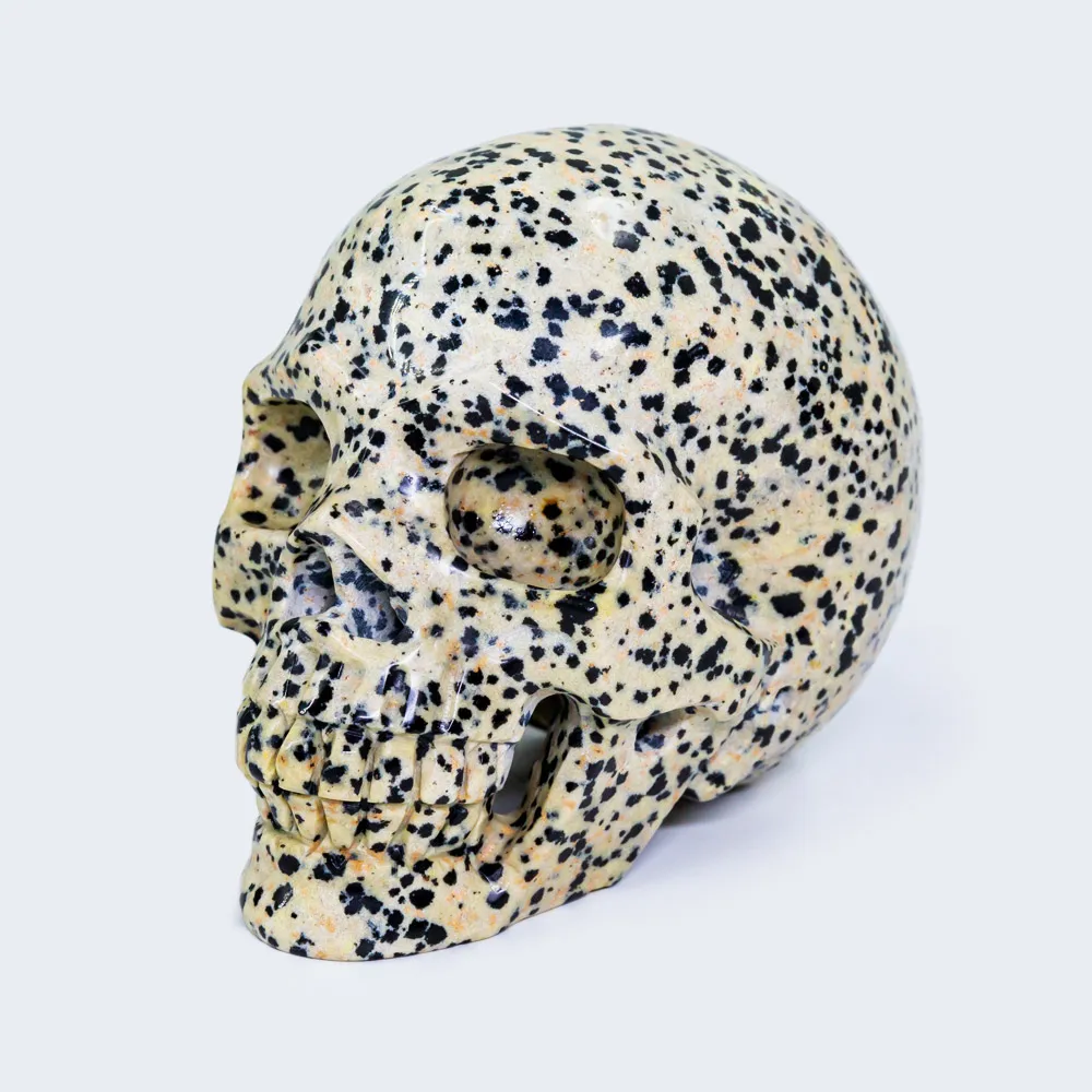 Wholesale natural high quality hand carved dalmatian crystal skulls carfts for home decoration
