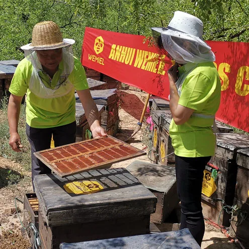 Raw Honey 100% Natural With Customer Label