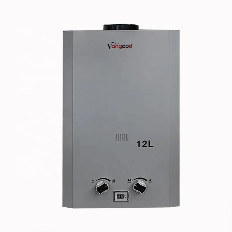 Wholesale Price Domestic Instant Propane Tankless Flue Type Gas Water Heater