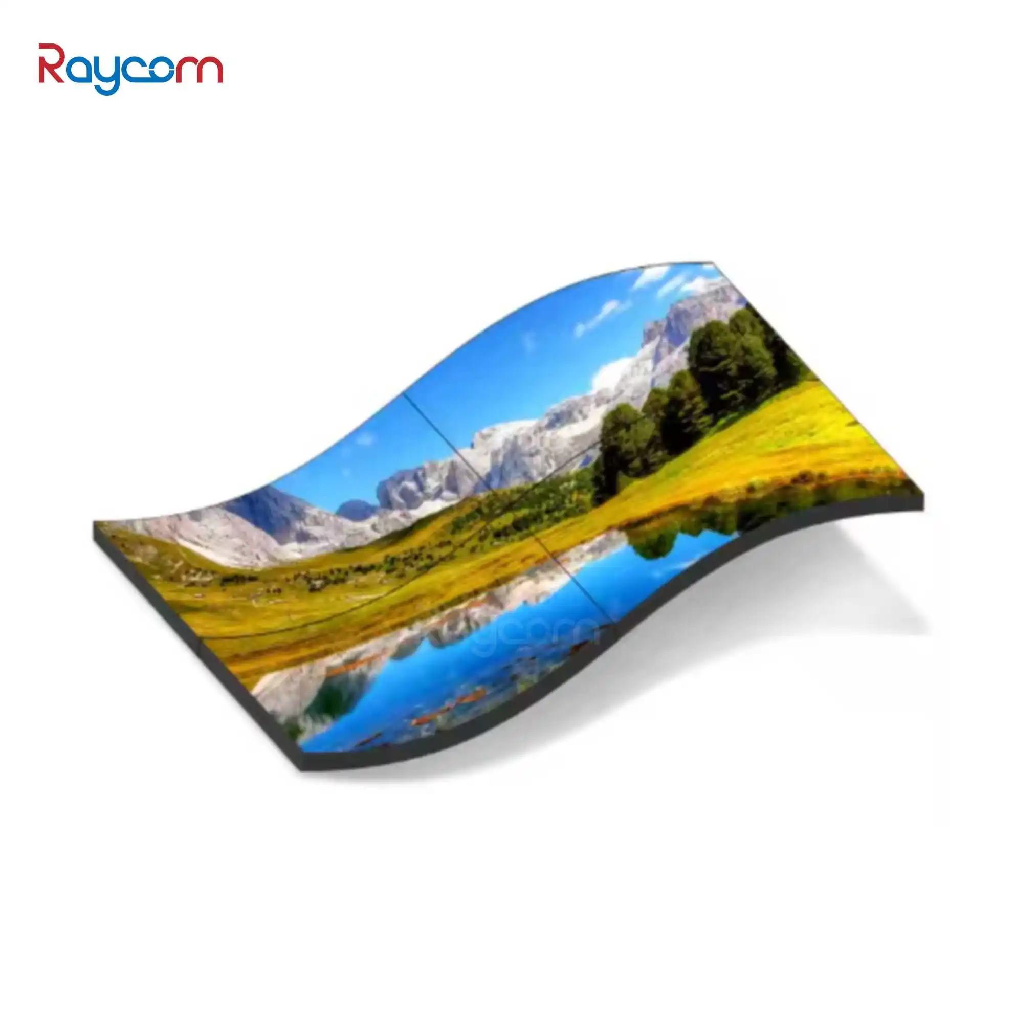 Raycom Custom Digital Signage Display Advertising OLED Screen Media Player 32 45 50 55 65 Inch Floor Standing from China