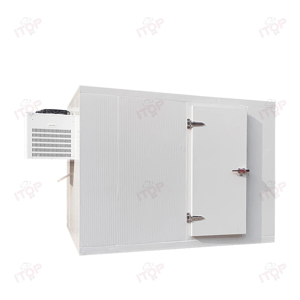 High Quality Customized Cold Room for Fruits Vegetables Meet Freezer Chiller Sale Made in China
